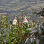  Cotacachi Thru The Corn, Ecuador 2011